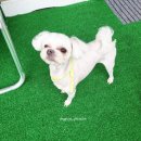 도꾸살롱 이미지