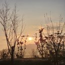 신대부동산중개사무소 이미지