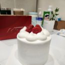 트리플투어(주) | 축하로 행복하게 보낸 4월 넷째주 일기