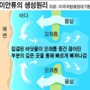 바다로 빨려가는 공포 '이안류'와 대처법 이미지