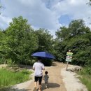 양평목장 | 무더운 여름 휴가, 아이와 양평 양떼목장 다녀온 솔직 후기｜32개월 아기 동반