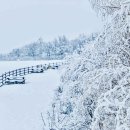 순수목장 이미지