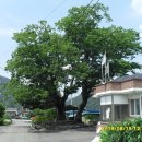 광진리경로당 이미지