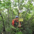 정선초교가수분교 이미지