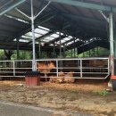 교가1리 이미지