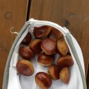 죽곡청년회 이미지
