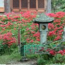 용천사 석등 이미지