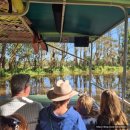 환영농장 | [호주 여행#4]골드코스트 Tropical Fruit World 농장 투어 후기, 예약방법, 서머타임 정보