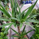 수원시 팔달구 팔달문로81번길 이미지