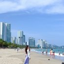베트남 나트랑 마사지 팁 공항 픽업 샌딩 궁스파