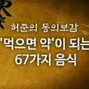 허준동의보감