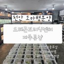 [충남 천안] 천안 파충류 도마뱀분양 드래곤브리딩센터 방문후기