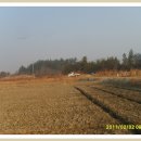 보리와철새 이미지