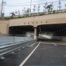 산호대로-80 이미지