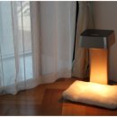 레이 펫 이미지