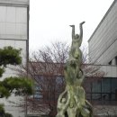 약동안양 이미지