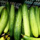 청송유기농
