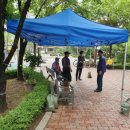 그늘막29 이미지