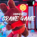 R5 게임즈 | 홍대 놀거리 인형뽑기 거리 투어 | 8곳 중 2곳에서 성공!