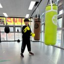 조치원 세종복싱클럽 이미지