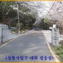 부산산악마라톤클럽 창립 제17주년기념 5산종주트레일런30km(2023.5.7) 이미지