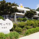 신광순 티스토리
