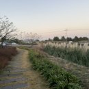 노바운더리 이미지