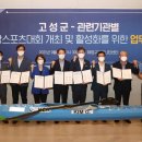 고성스포츠 노컷뉴스