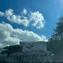 라제카센타 이미지