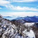 풍경속선물 이미지