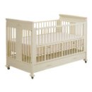 파코라반베이비 이미지