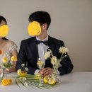 오브무드플라워 이미지