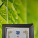 이남의원 이미지