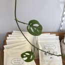 곱창매니아 이미지