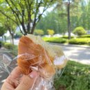 [부산 서면 빵집] 송상현광장 하야리아 제빵소 소금빵 & 크루아상 솔직한 내돈내산후기