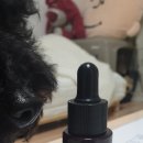 올리브덴탈 이미지