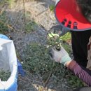 화전펜션 이미지