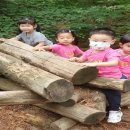 무지개숲어린이집 - 고양시 일산동구 | 무지개숲어린이집