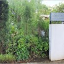 데이드림빌리버 이미지