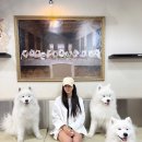 몽글몽글 이미지