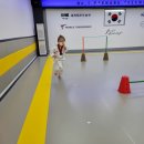 새나루 태권도 이미지