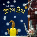 코지수다