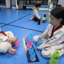 강호 해솔 태권도 이미지