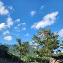 자연밸리 관광농원 이미지