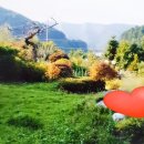 상오안리농장 이미지