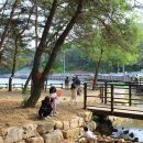 편백산림욕장 진입로 이미지