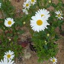 신바람PC 이미지