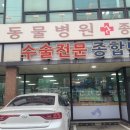 종합사료 | 수원종합동물병원 사료 구매 후기