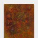 (주)캘리포니아폴스 이미지