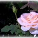 하미마을회관 이미지